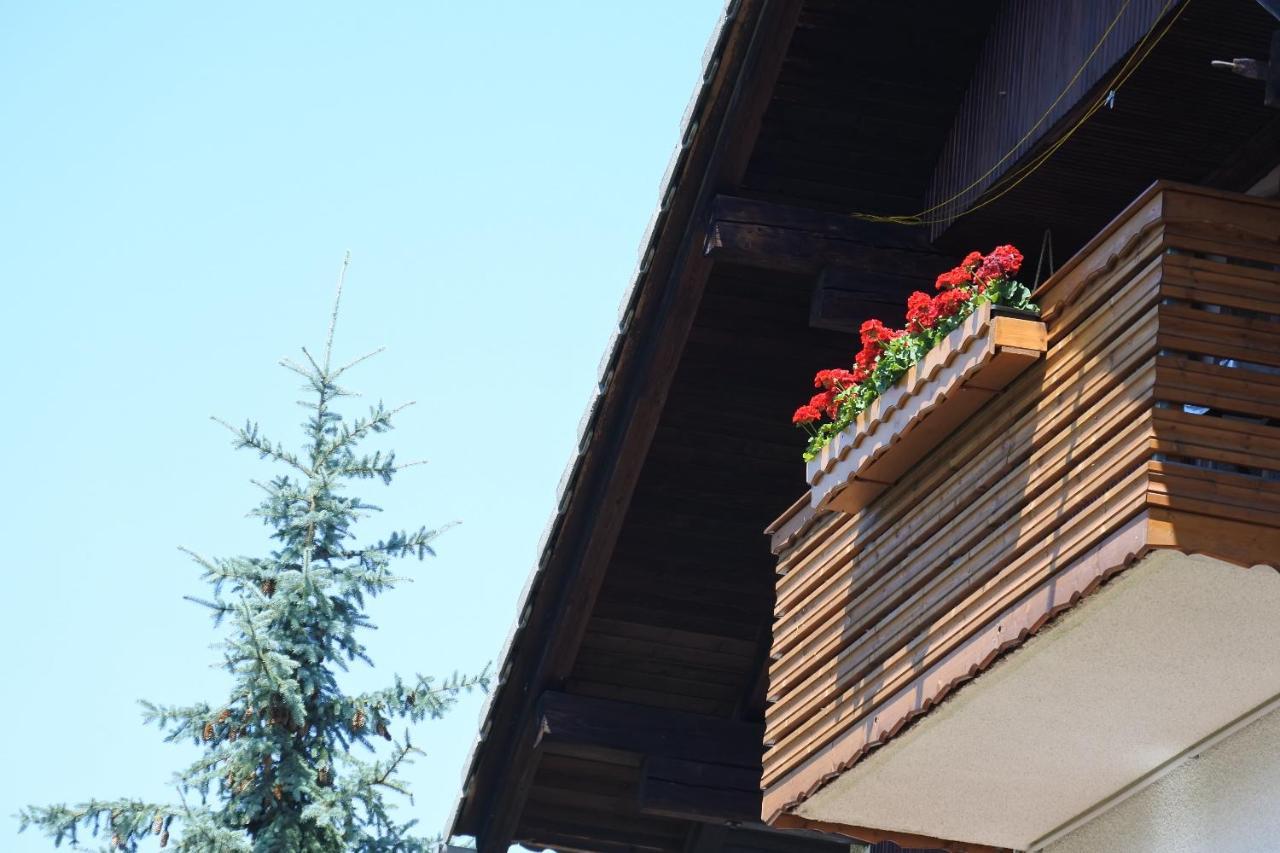 Apartma Vrh Lesce  Εξωτερικό φωτογραφία